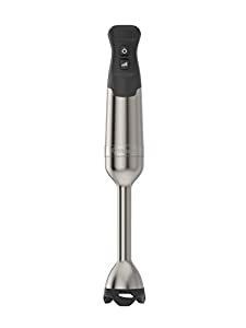 vitamix immersion blender, stainless steel