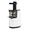 Hurom Premium Slow Juicer and Smoothie Maker (HH Series)